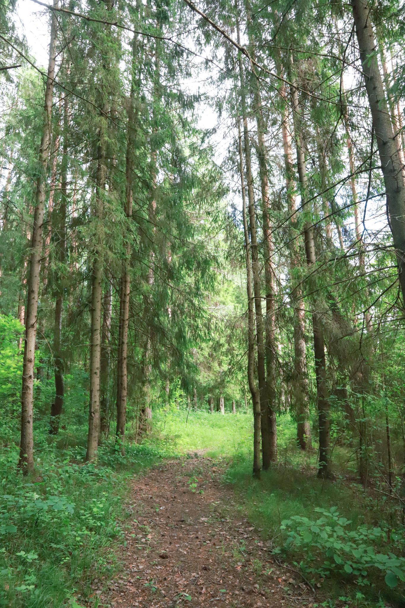 Фото Maxrooms у Плеса