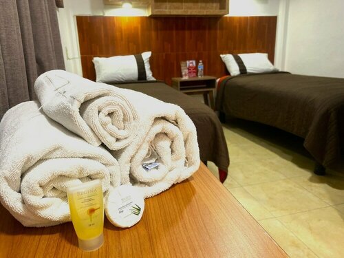 Гостиница Hotel del Arte y Figura в Леоне