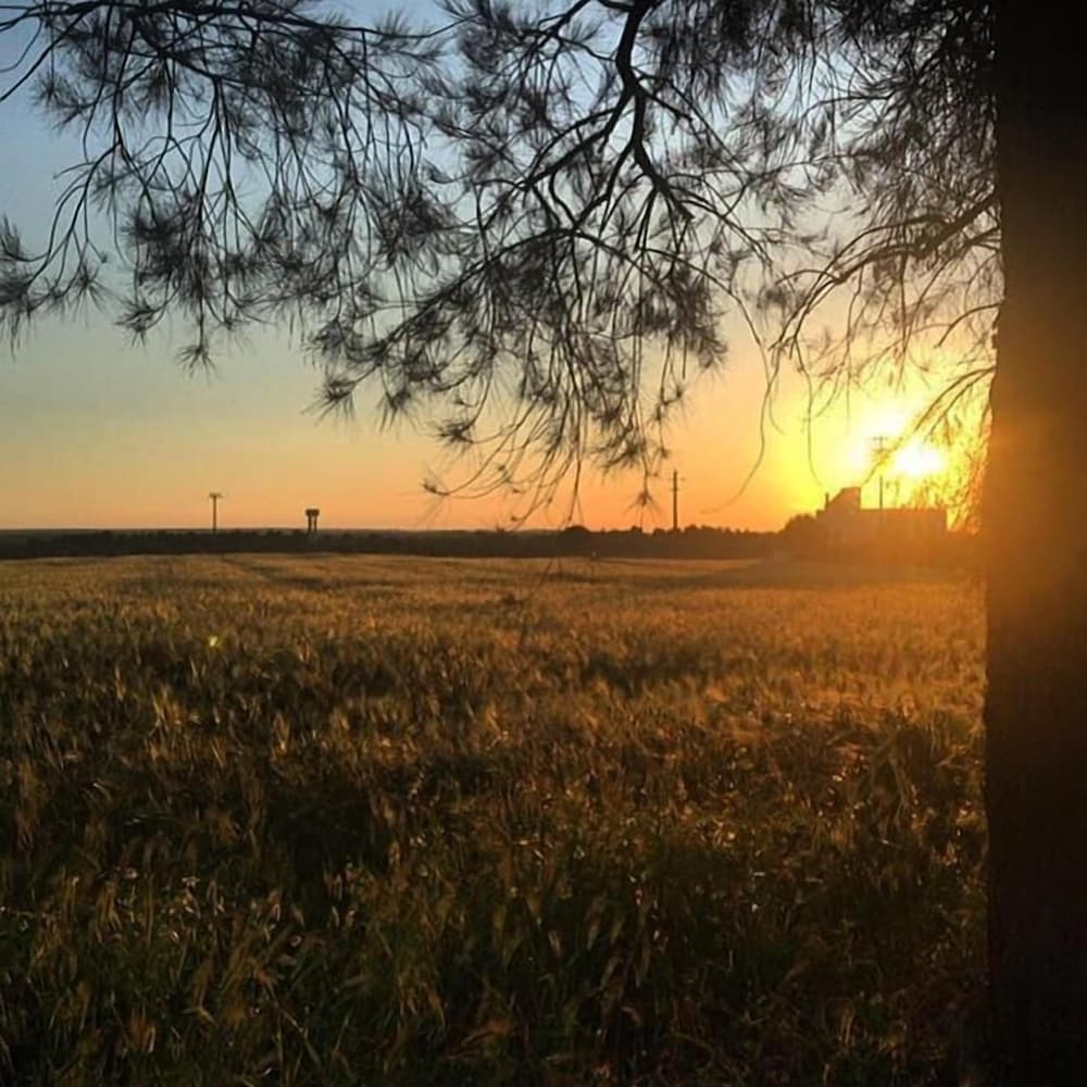 Фото Hotel Masseria Fabrizio