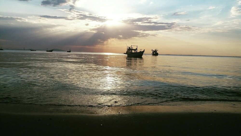 Фото Sea Sand Trees