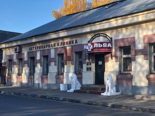 Два льва - фото 1
