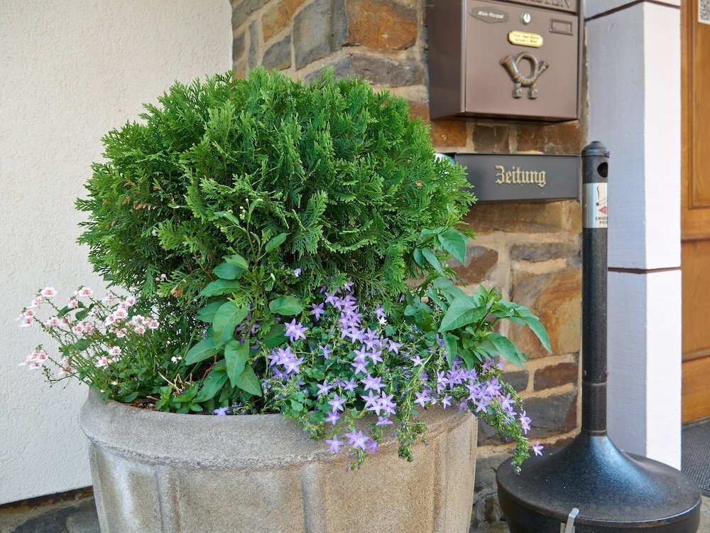 Фото Haus Mooren Hotel Garni