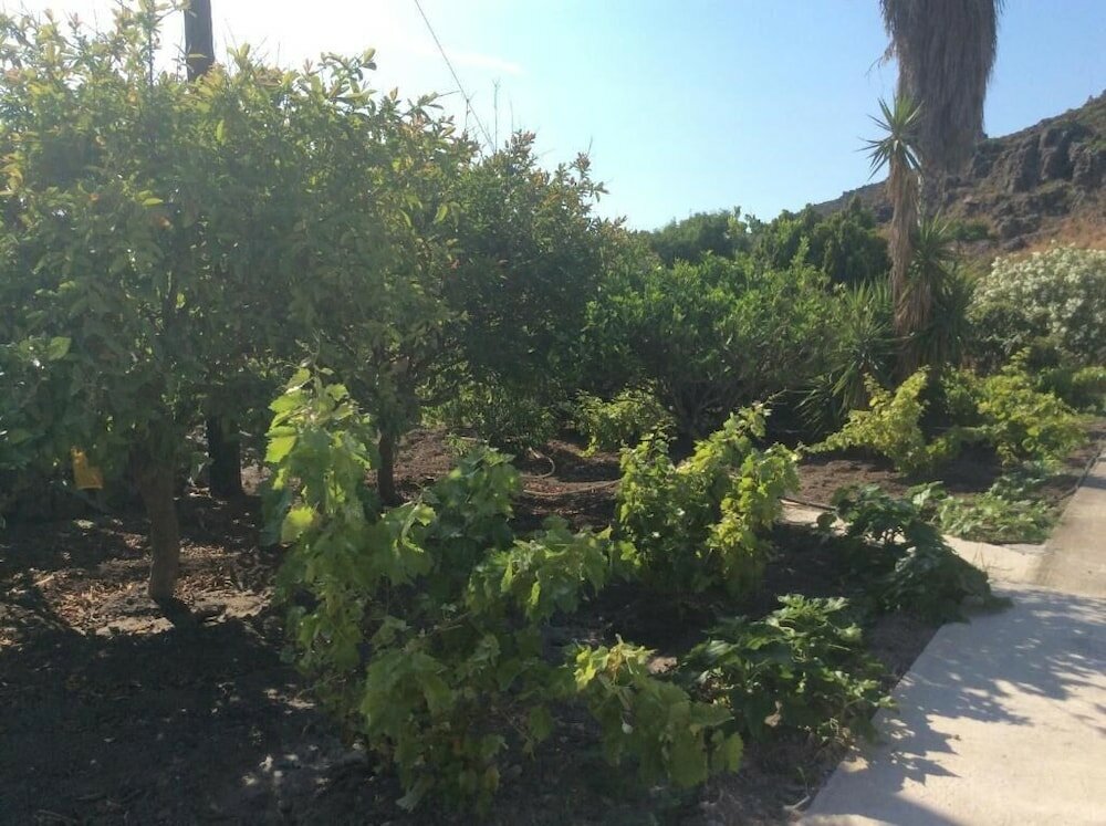 Фото Nicolas Studios