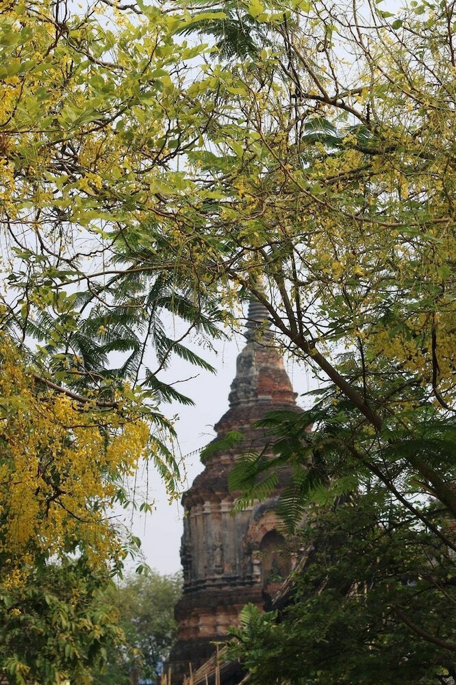 Фото Icon Park Hotel Chiang Mai