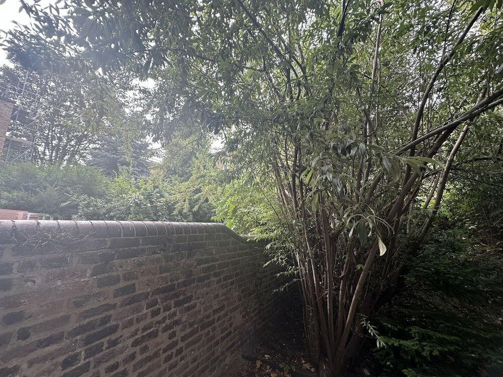 Фото Hotel Cavendish