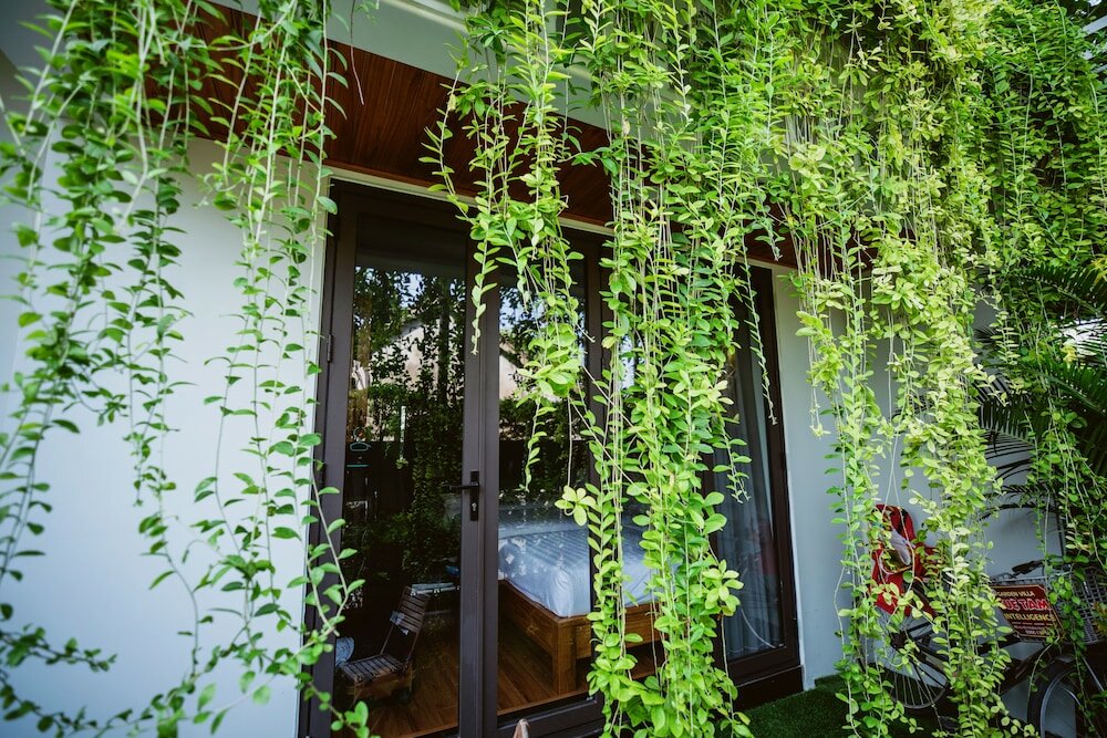 Фото Tue Tam Villa