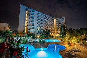 отель Hotel Ariston Molino Buja