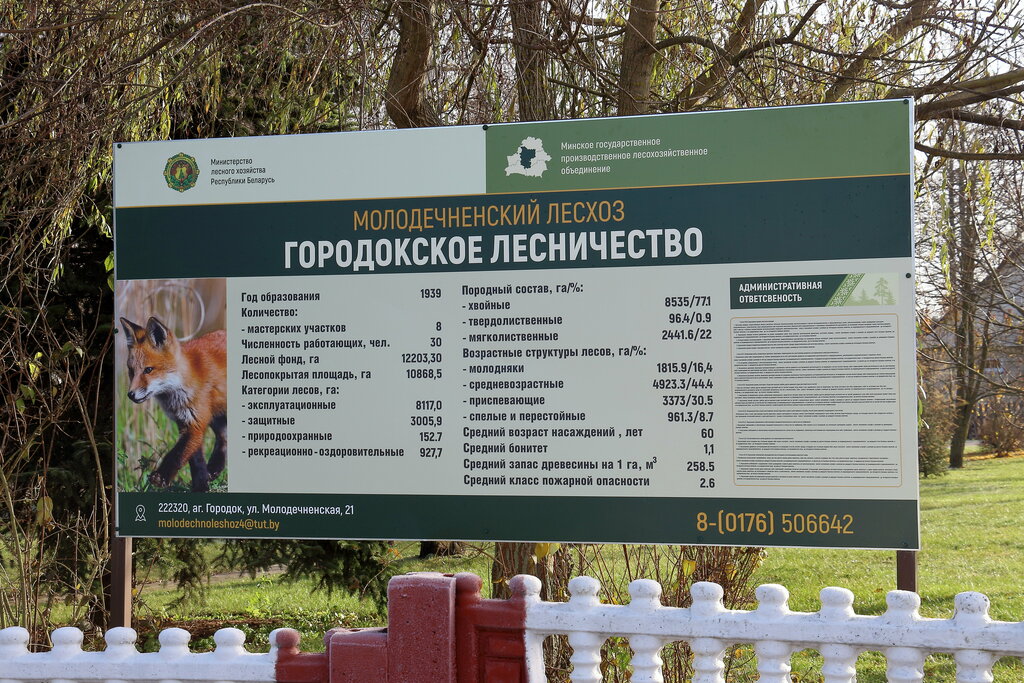 Forestry Gorodokskoye Lesnichestvo GLKhU Molodechnensky leskhoz, Minsk District, photo
