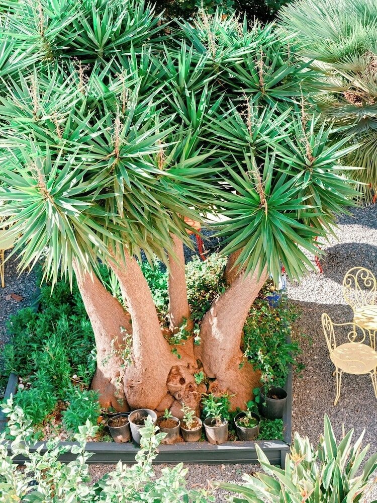 Фото Hotel Lemon