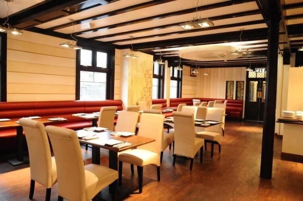 Фото Casuarina Tree