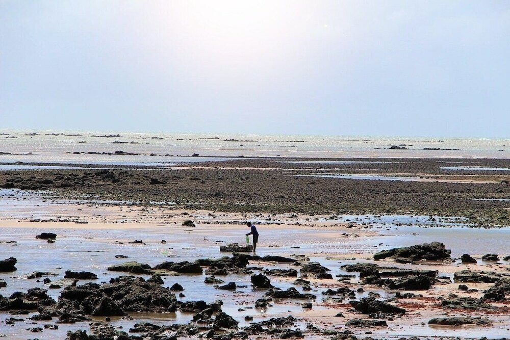 Фото Nord Class Cabo Branco