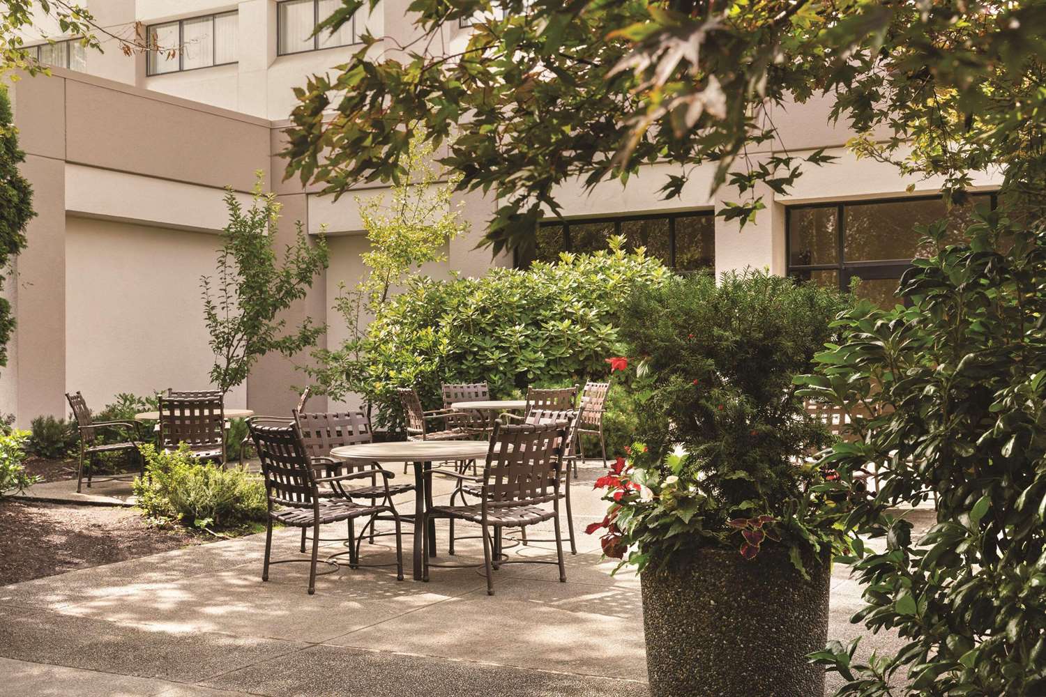 Фото Radisson Hotel Seattle Airport