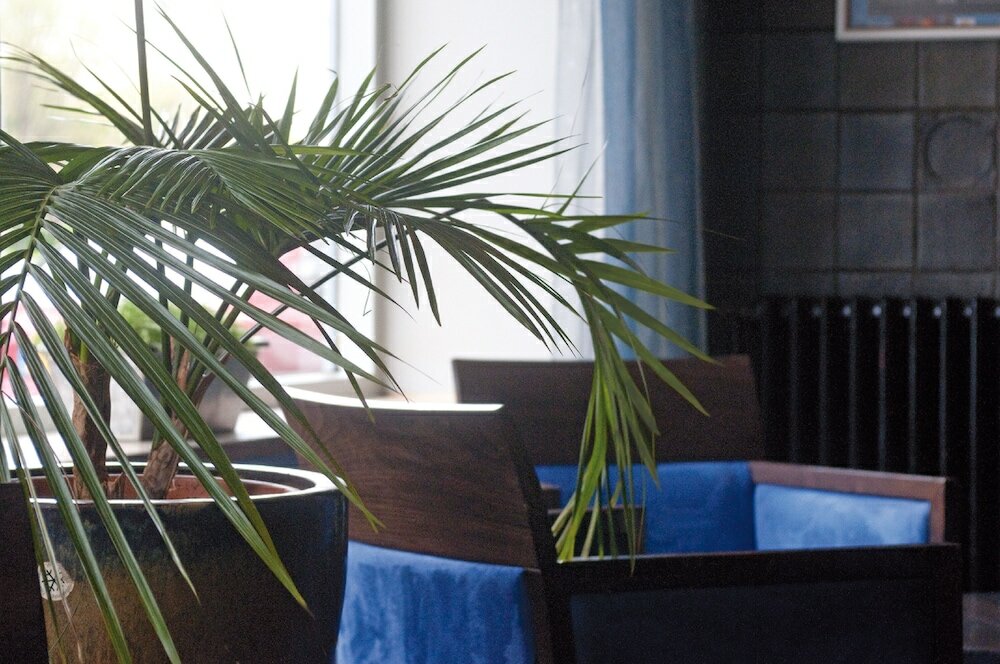 Фото City Partner Hotel Ter Streep