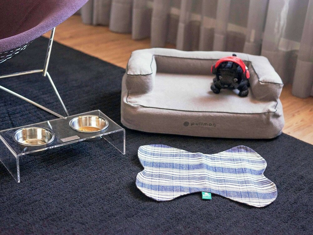 Фото Pullman Sao Paulo Ibirapuera