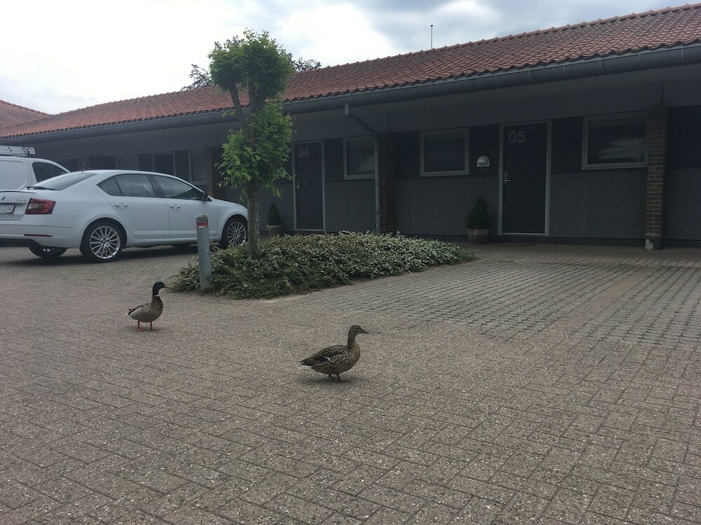 Фото отеля 5