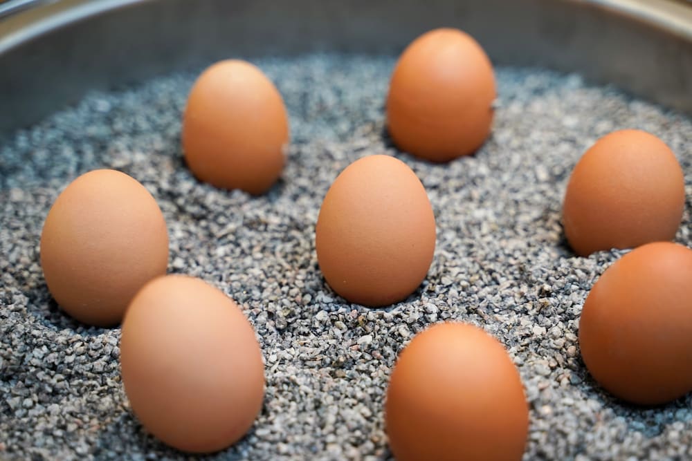 Фото Citadines South Vienna