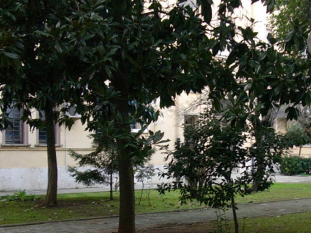 Фото Albergo Bellavista