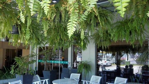 Гостиница Canoas Parque Hotel