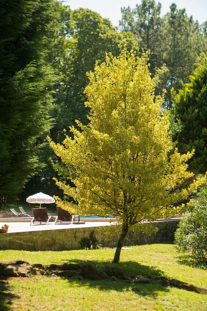 Фото Rusticae Casa A Pedreira