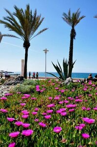 Гостиница Hotel La Perla