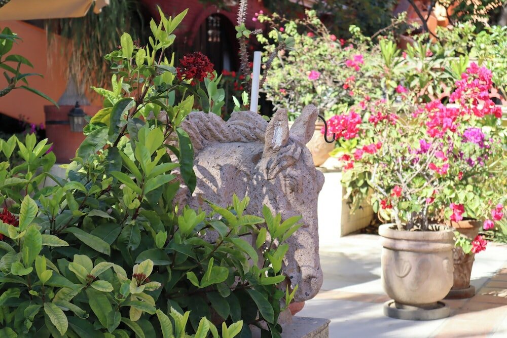 Фото Collection O Casa Bella Hotel Boutique, Cabo San Lucas