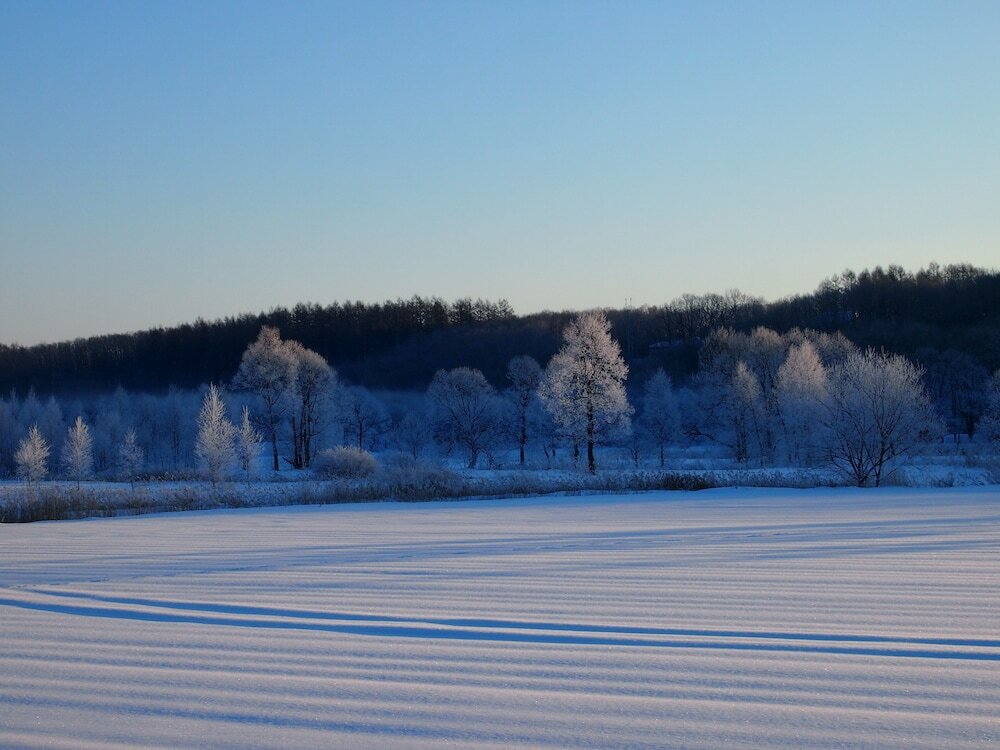 Фото The squirrel's guesthouse Canterbury