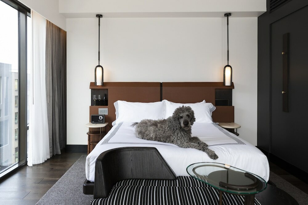 Фото Thompson Denver