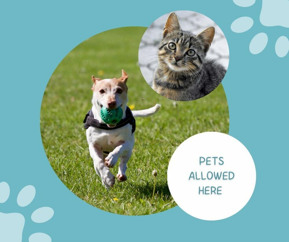 Фото Camping le Palme - Campground