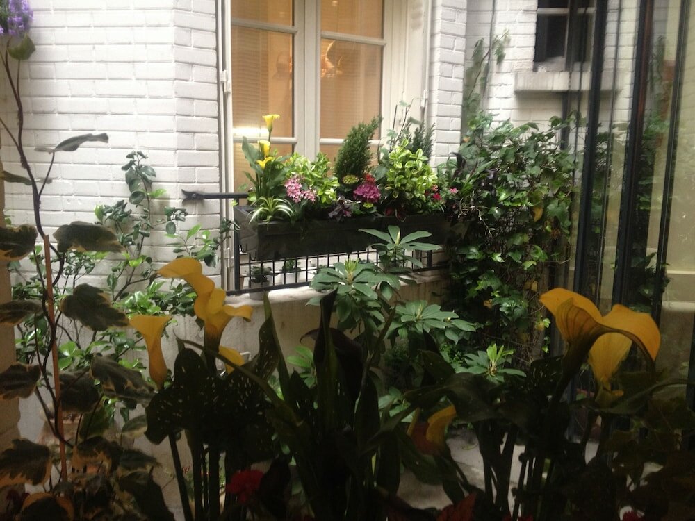 Фото Hotel Virgina