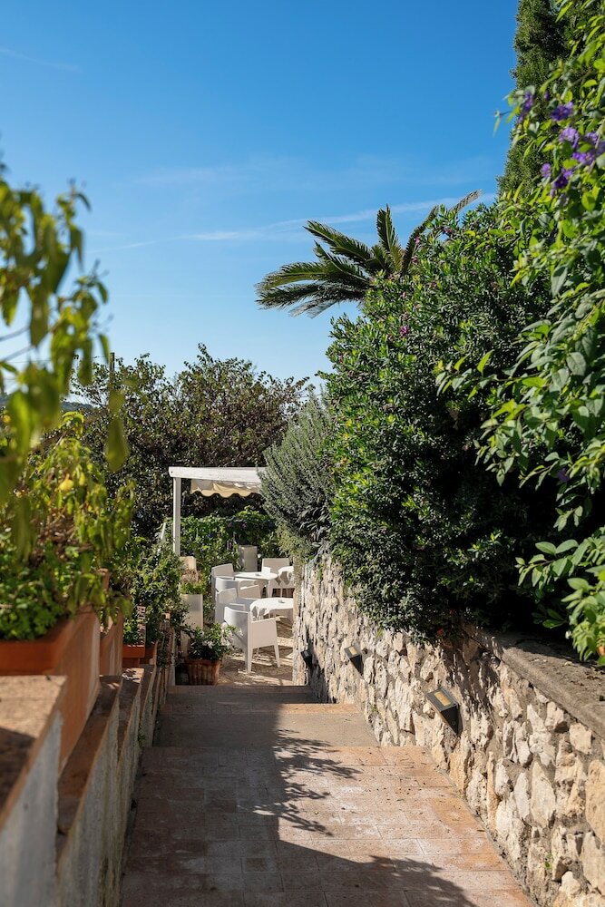 Фото Hotel Senaria