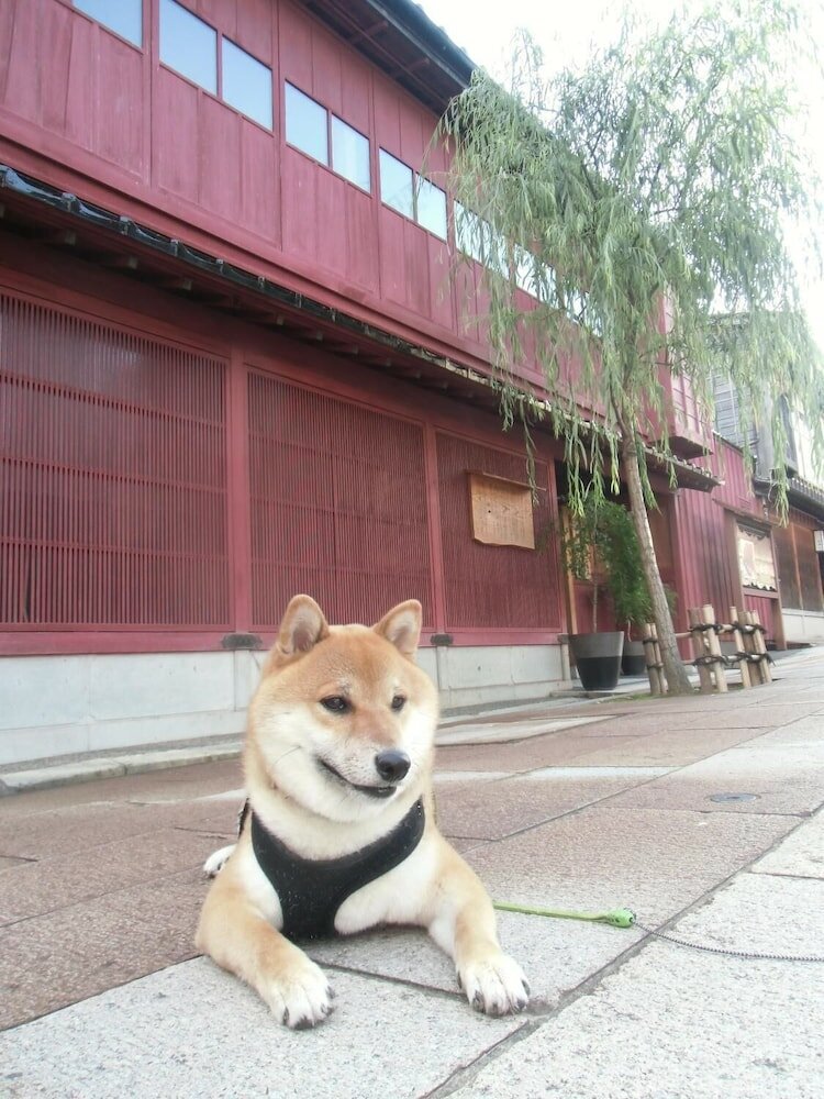 Фото Kanazawa Share House GAOoo