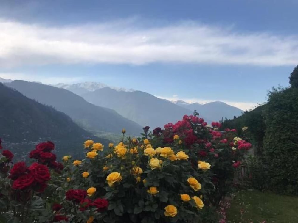 Фото Himalayan Kothi Kais