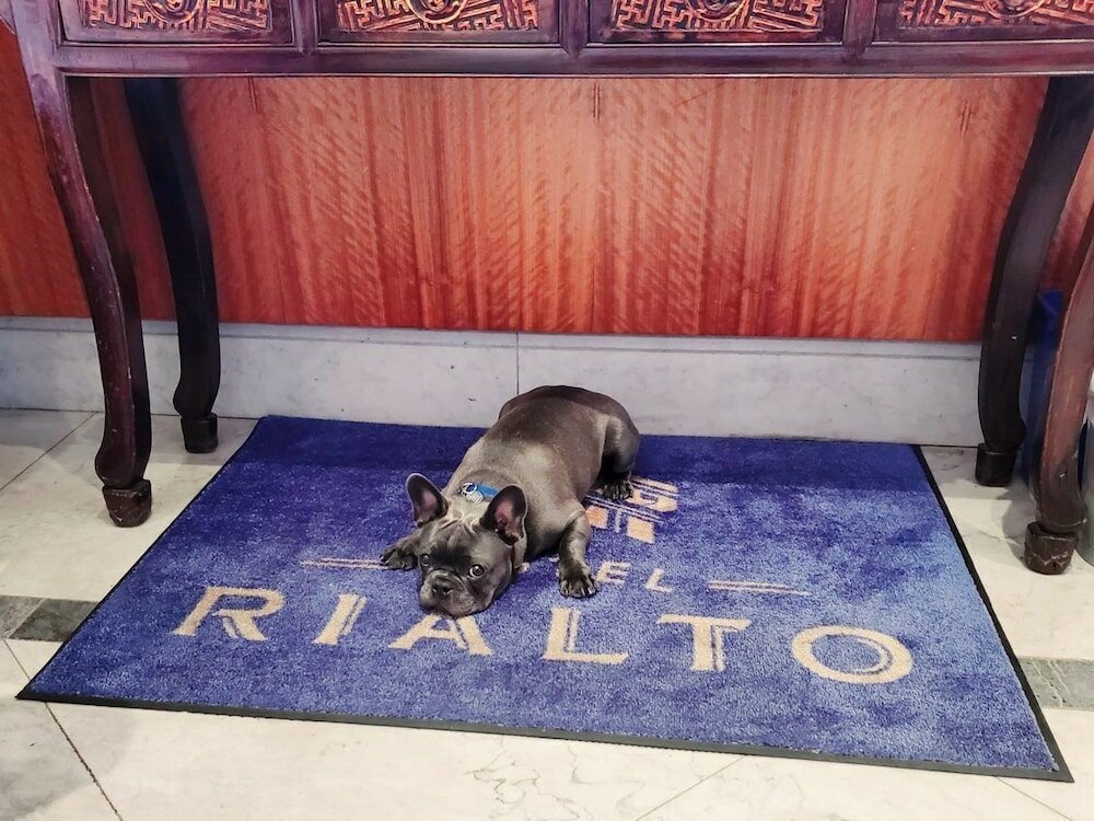 Фото Hotel Rialto