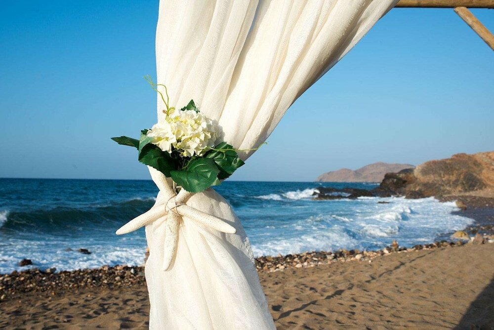 Фото The Royal Blue