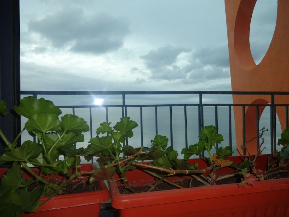 Фото Family Hotel Evridika