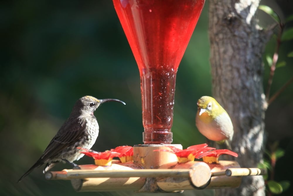 Фото Cinnamon Boutique