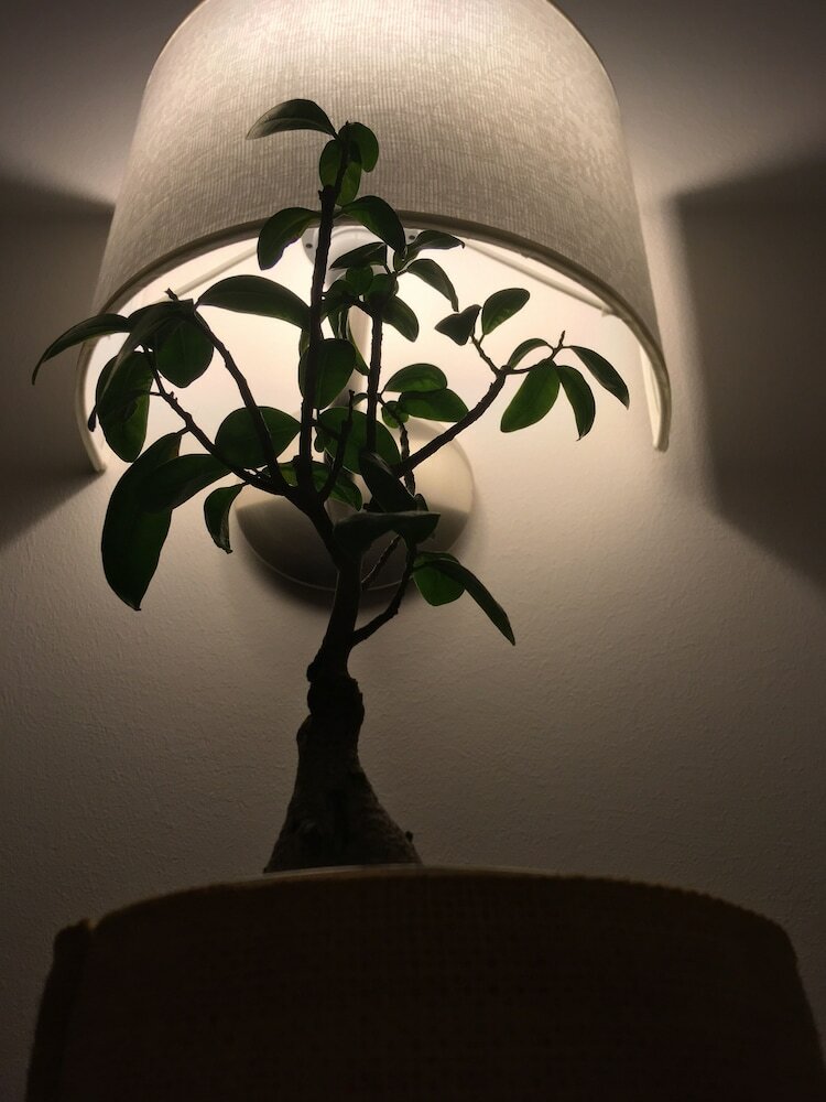 Фото S. Martin Hotel