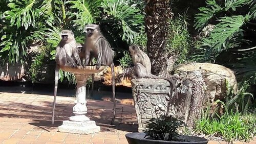 Внешний вид отеля Bancroft B and B в Муниципалитете uMgeni, фото 3