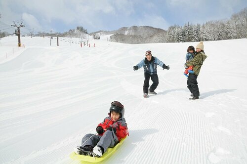 Гостиница Hakuba Paipu No Kemuri в Хакубе