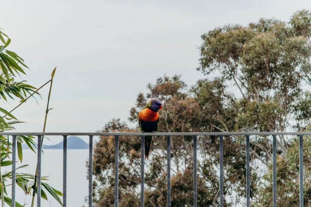 Фото Bannisters Port Stephens