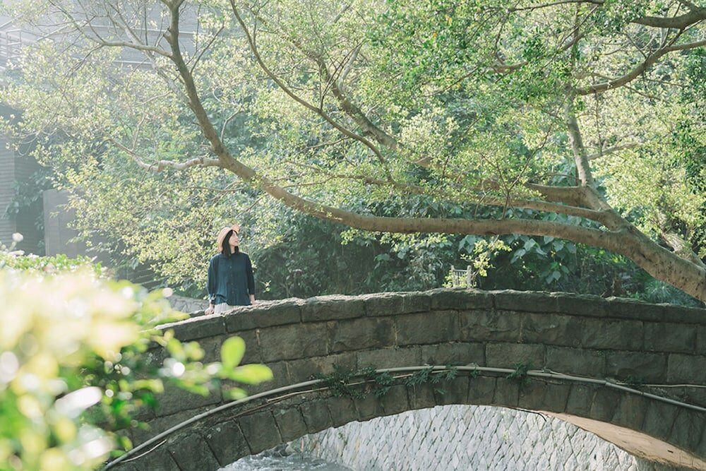 Фото Hotel Royal Beitou