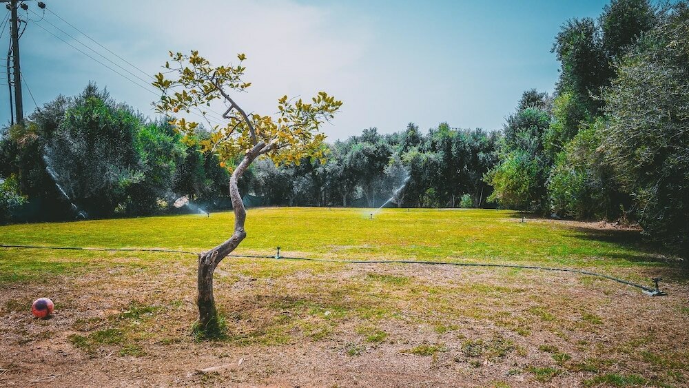 Фото Chrysland Hotel