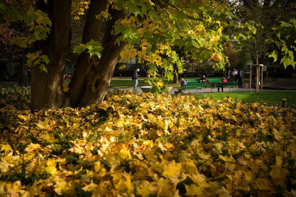 Фото Hotel Central Luzern