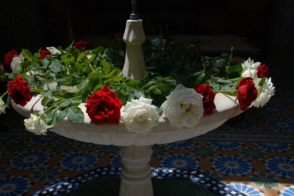 Фото Riad Bibtia