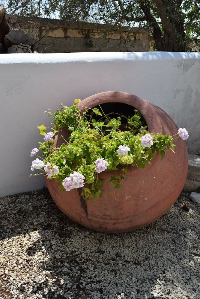 Фото Lasa Heights