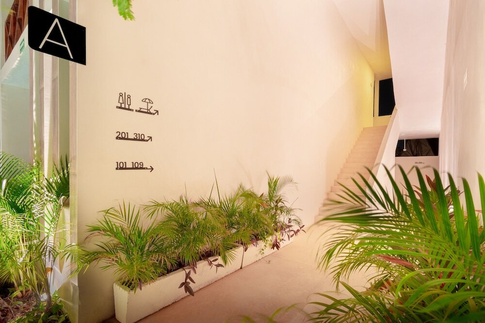 Фото Smart Depas Tulum