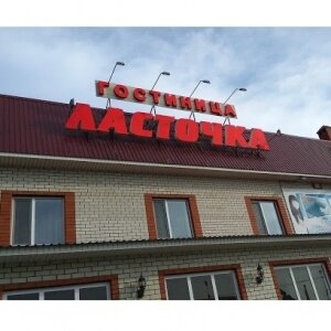 Фото Ласточка