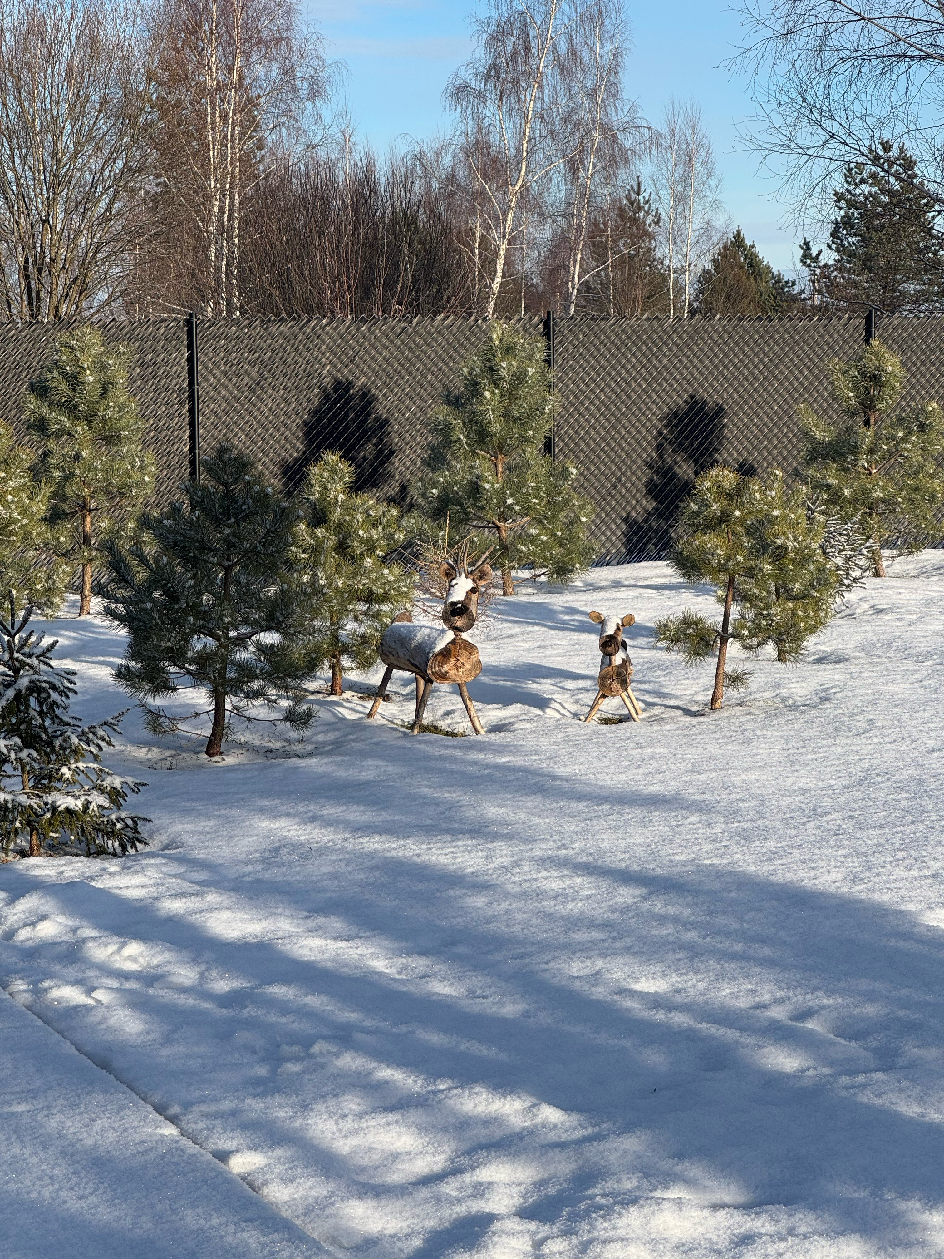 Фото Сканди куб