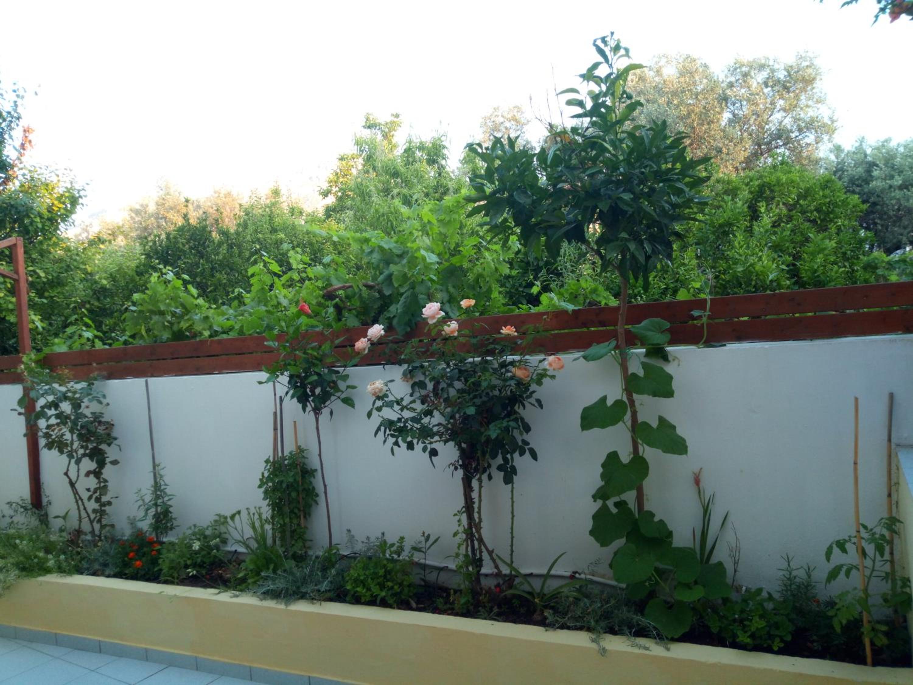 Фото Pantheon Deluxe Apartments