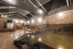 Гостиница Premier Hotel Cabin Sapporo